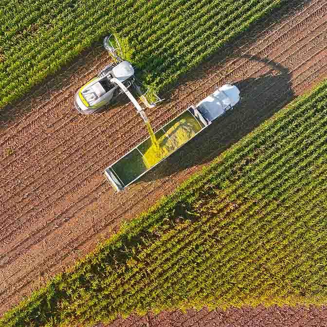 GROWMARK
