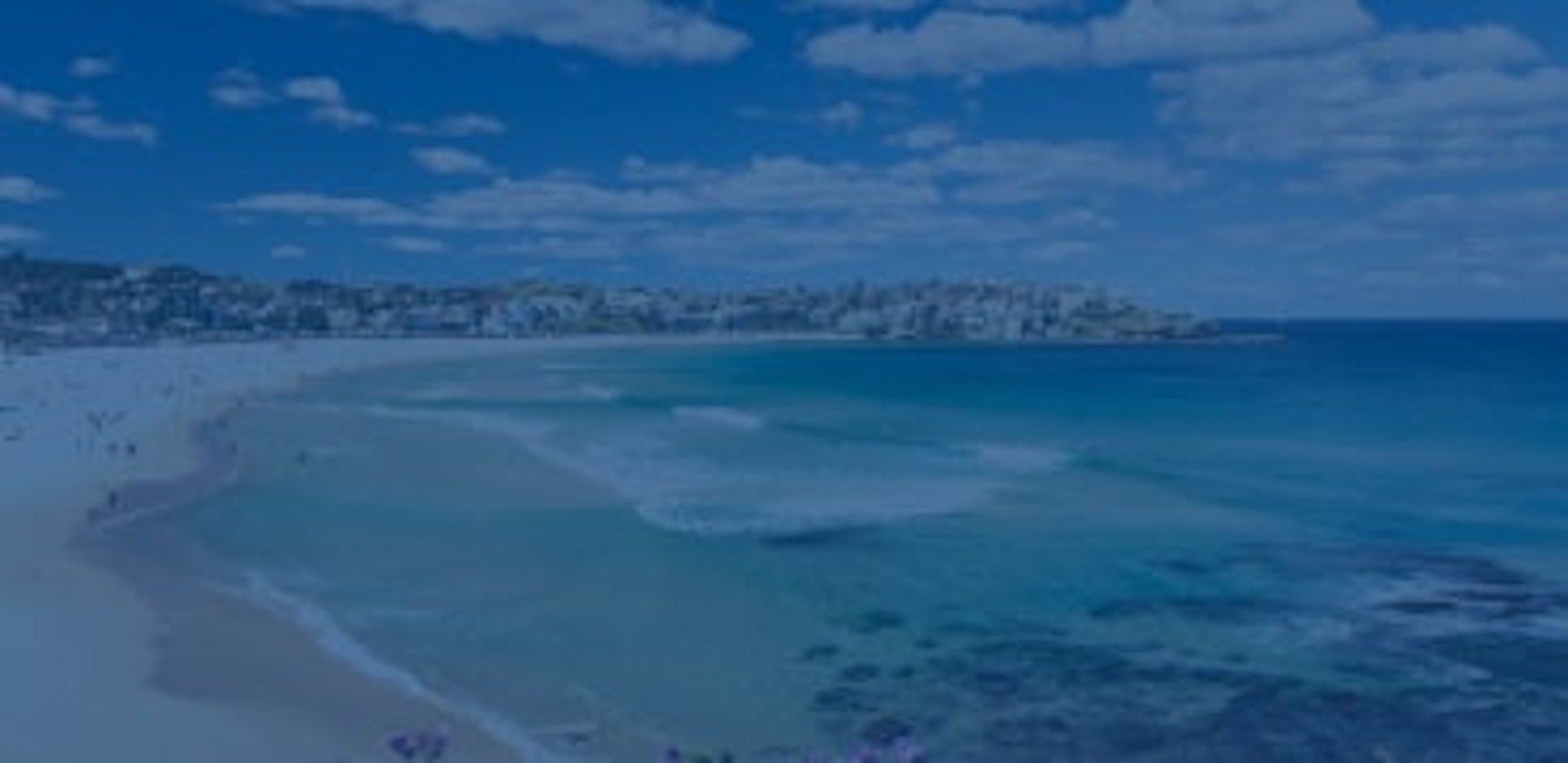 Northern Beaches Council background image