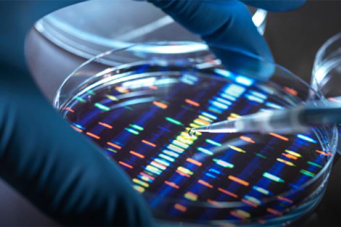 DSPM: Healthcare Data Security Amid Rising Breaches DSPM: Healthcare Data Security Amid Rising Breaches