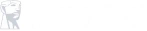 Kingston Technology