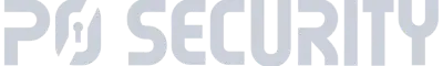 P0 Security logo