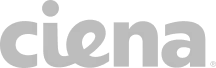 ciena logo grey