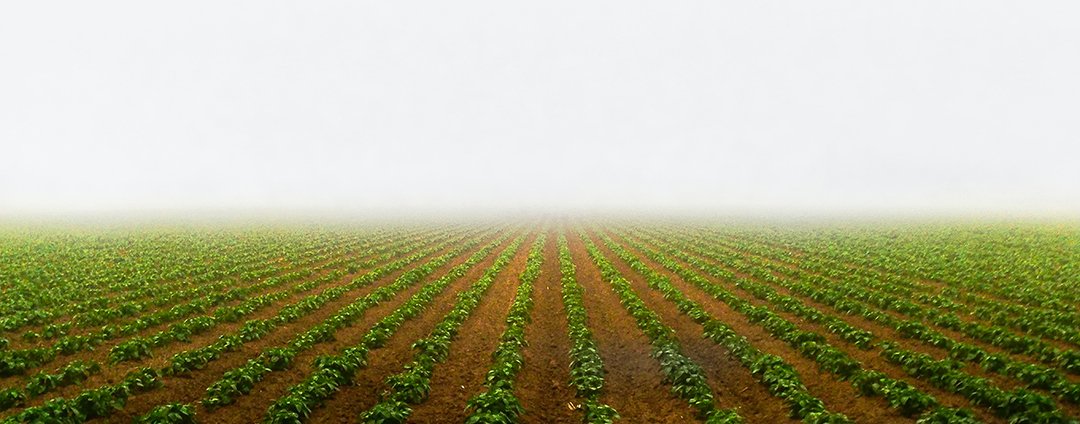 GROWMARK is Sowing Success While Working From Home