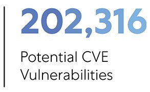 CVE vulnerabilities