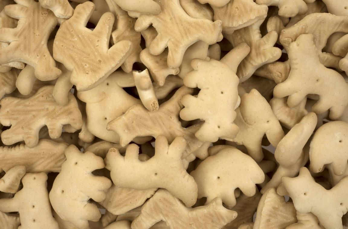 Animal cracker image