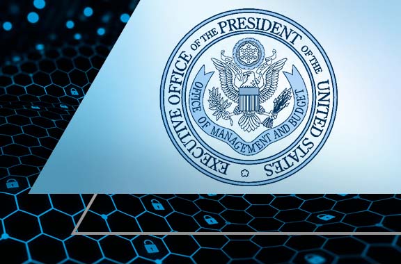 Moving the U.S. Government Toward Zero Trust Cybersecurity Principles, 
